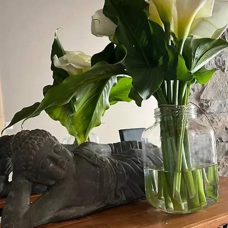 Zen Casa House Хихон