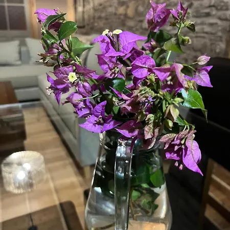 Zen Casa House Апартаменты