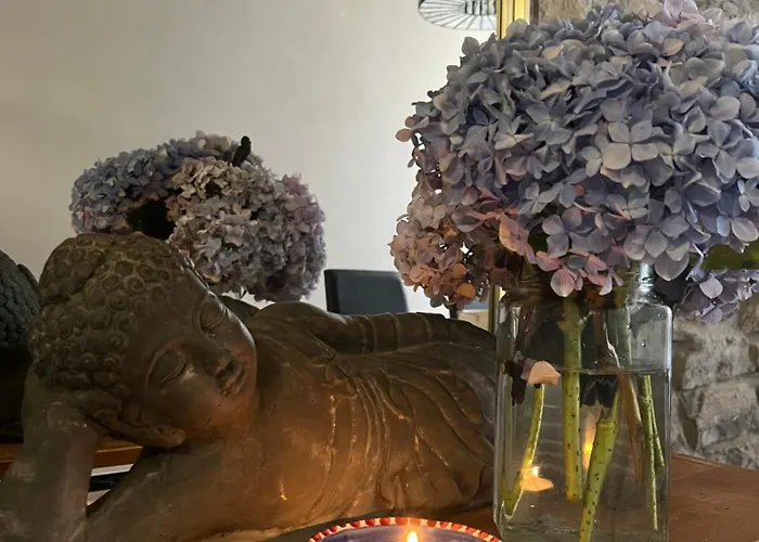 Zen Casa House * Gijón