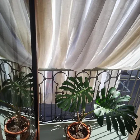 Zen Casa House * 기욘