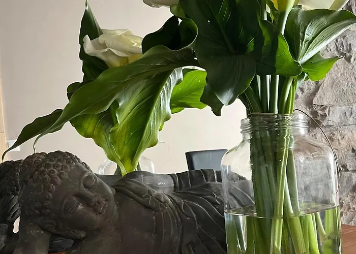 Zen Casa House Gijón