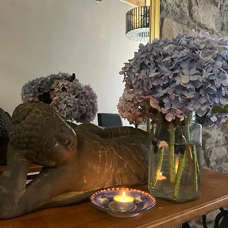 Zen Casa House * Хіхон