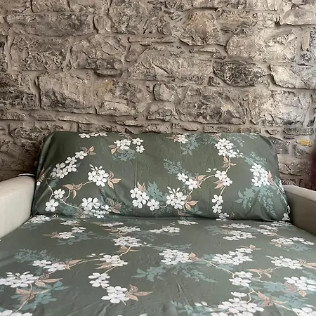 Zen Casa House Apartmán Gijón